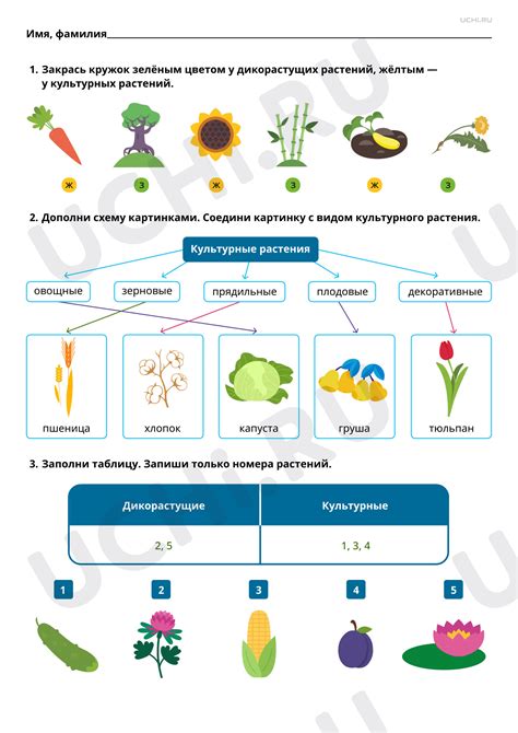 Уничтожение культурных растений