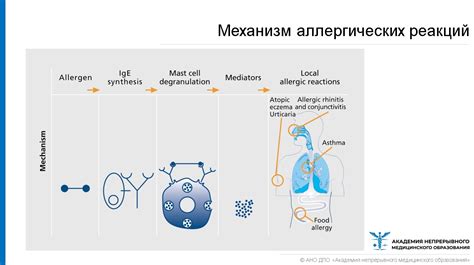 Усиление аллергических реакций
