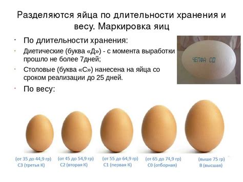 Условия хранения вареных перепелиных яиц