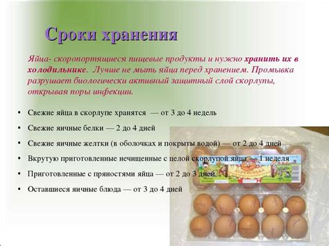 Условия хранения куриных яиц