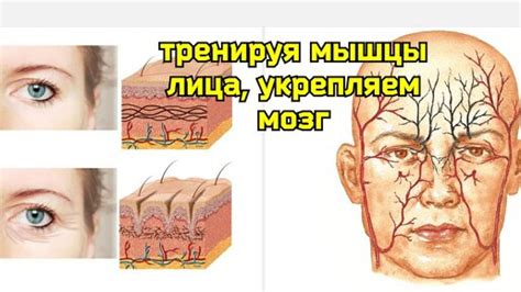Ухудшает кровообращение