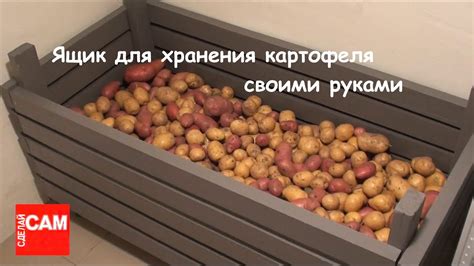 Факторы, влияющие на длительность хранения картофеля фри