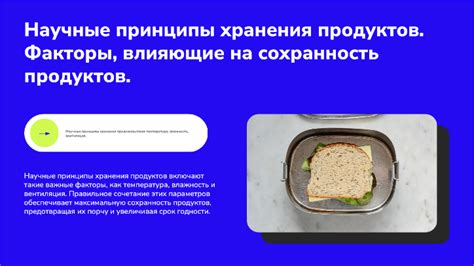 Факторы, влияющие на срок хранения шаурмы