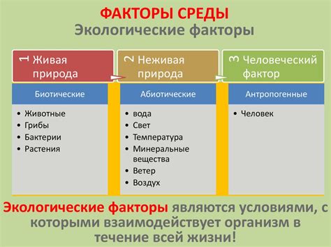 Факторы окружающей среды и их воздействие на шею уток