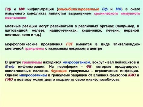 Факт #2: Культурные особенности и потенциальные негативные реакции