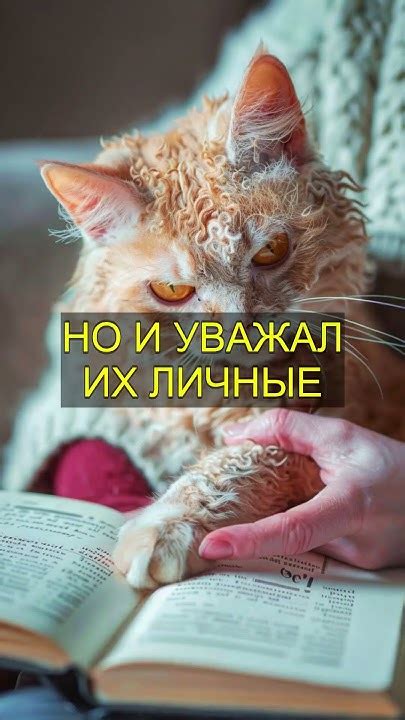Физиологическая привязанность: почему котята выбирают постель хозяина