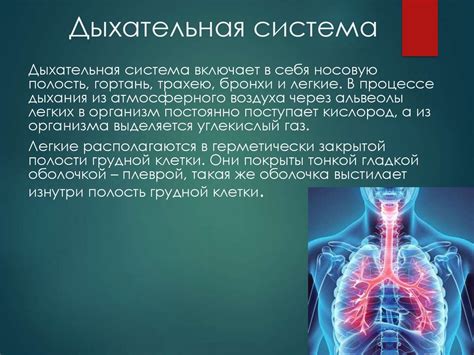 Физиологические особенности нашего организма
