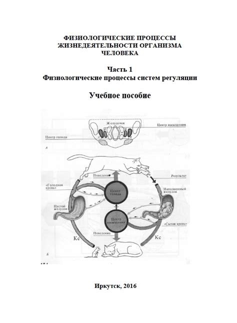 Физиологические процессы, способствующие ощущению сладкого