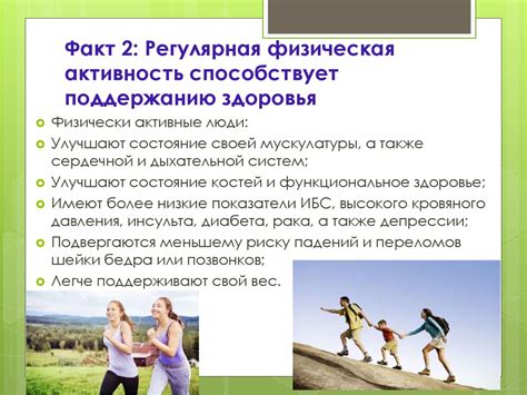 Физическая активность и развлечения: как усмирить энергичного шпица