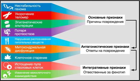 Физические проявления воздействия привязки на мужчину