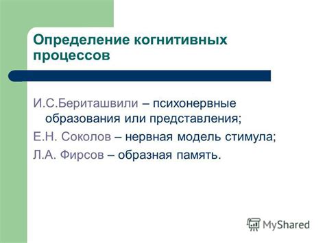 Формирование внутренних представлений