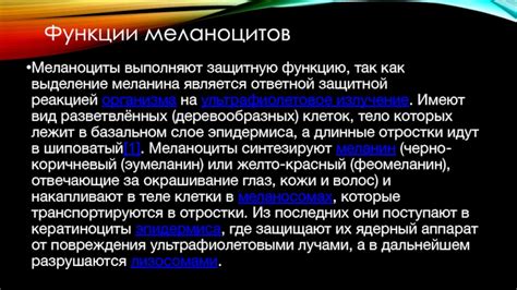 Функция меланина в регуляции температуры