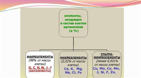 Химический состав и действие