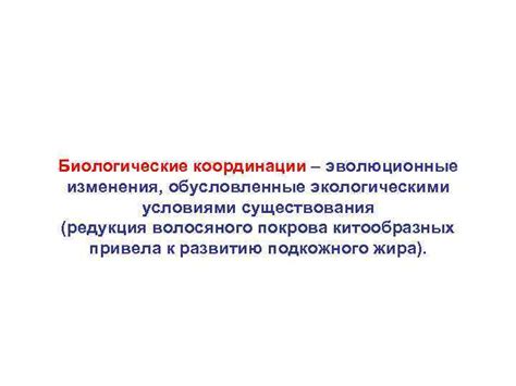 Эволюционные изменения волосяного покрова