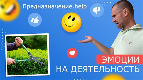 Эмоциональная реакция