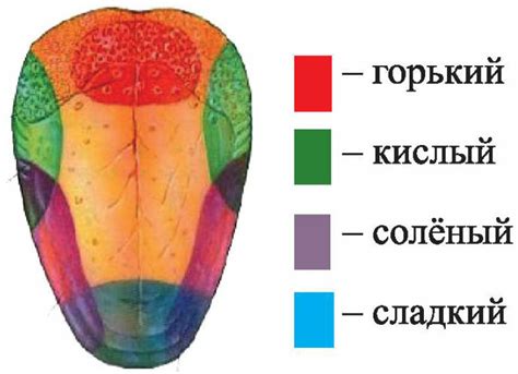  Влияние эмоций на восприятие вкуса 